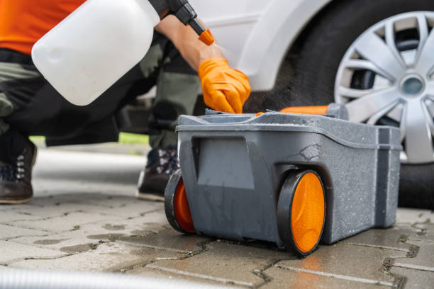 Best Tree Health Inspection  in North Bellport, NY